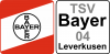 Bayer_1984_bis_1996.svg.png
